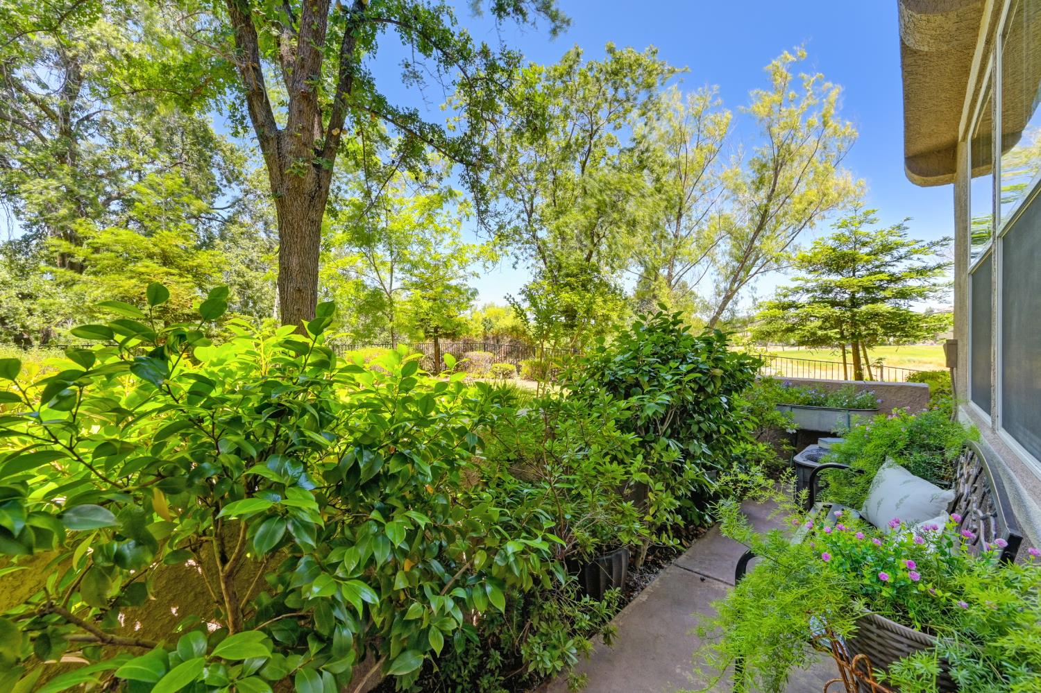 Photo #13: 225067967 Listing: Photo #13