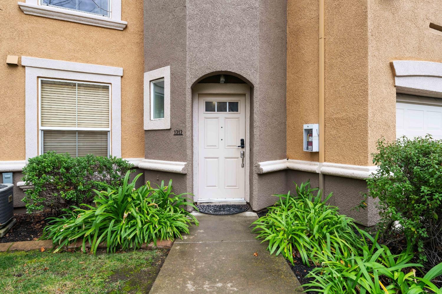 Photo #3: 225068251 Listing 
