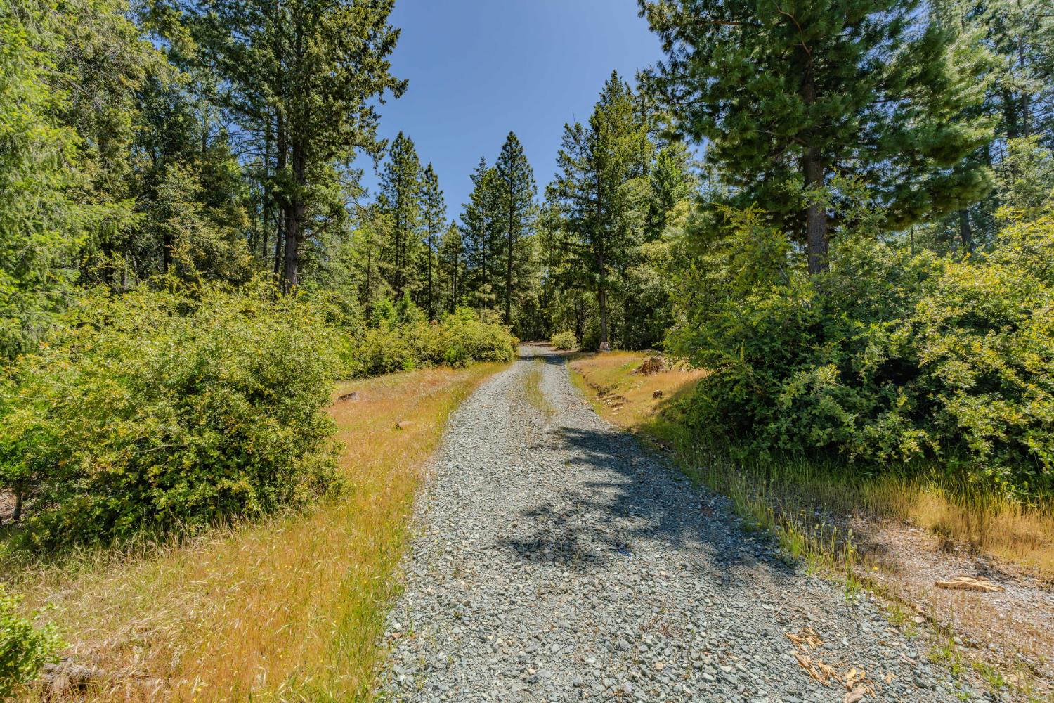 Allan Road, Volcano, California image 7