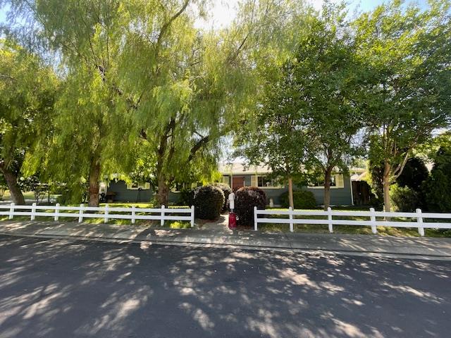 Maplenut Avenue, Modesto, California image 1