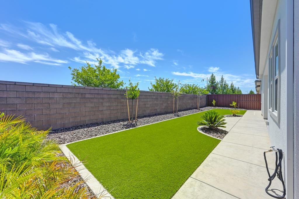 Pacific Wren Way, Folsom, California image 39