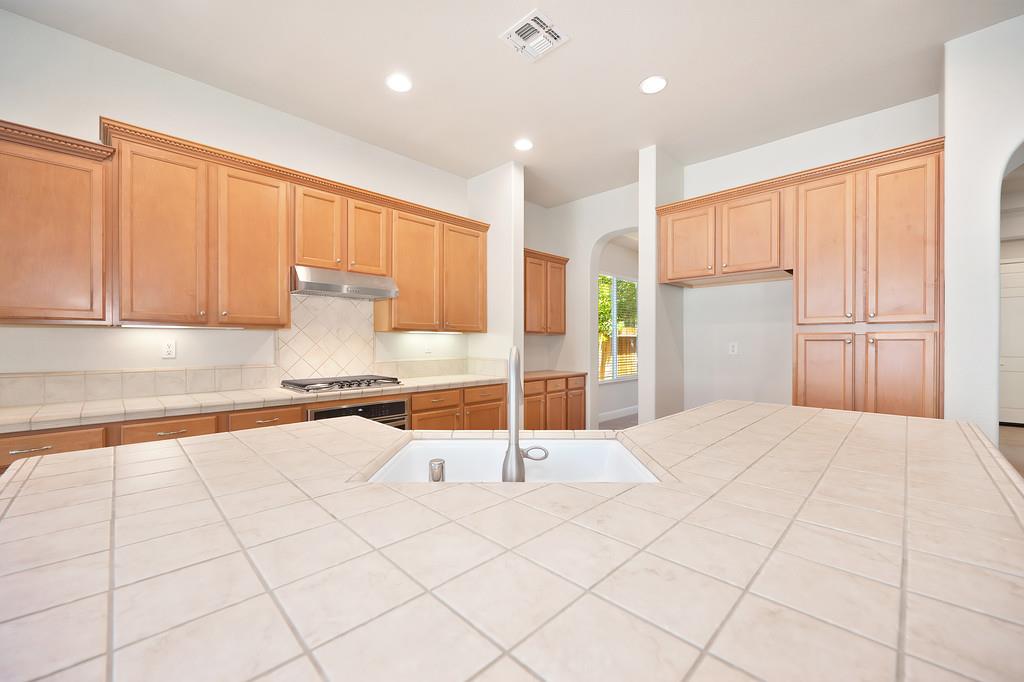 Terrace Cove Court, Folsom, California image 17