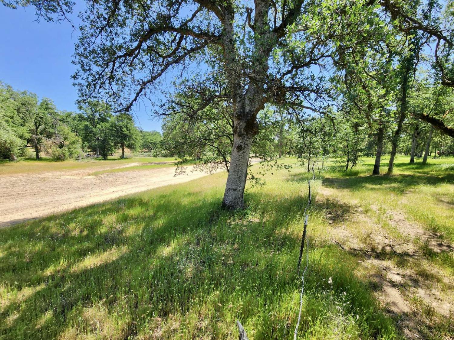Two Feathers Road, Cottonwood, California image 21