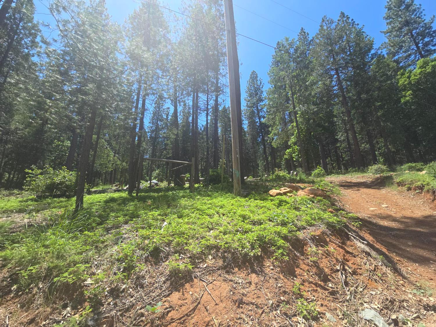 Robust Way, Nevada City, California image 1