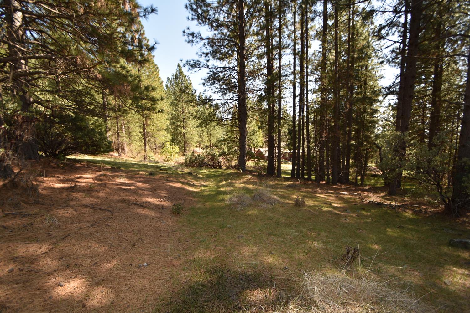 Provenza Drive, Oroville, California image 21