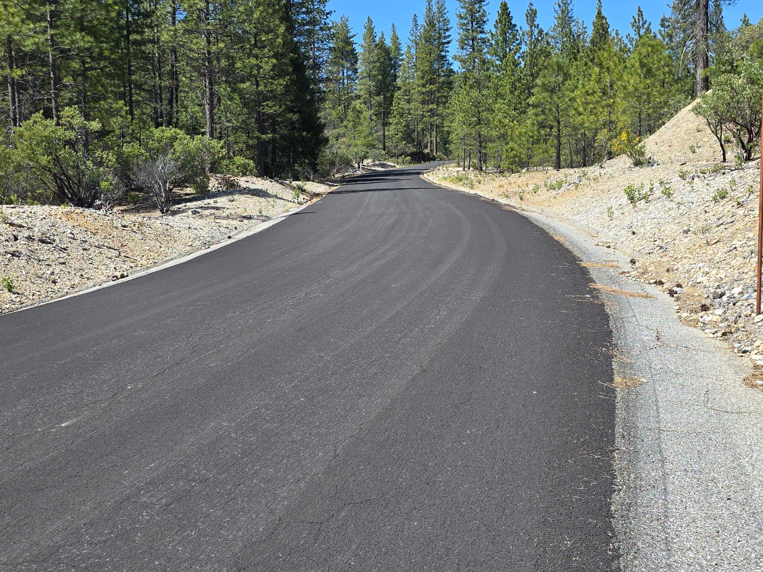 Sailor Flat Road, Nevada City, California image 8