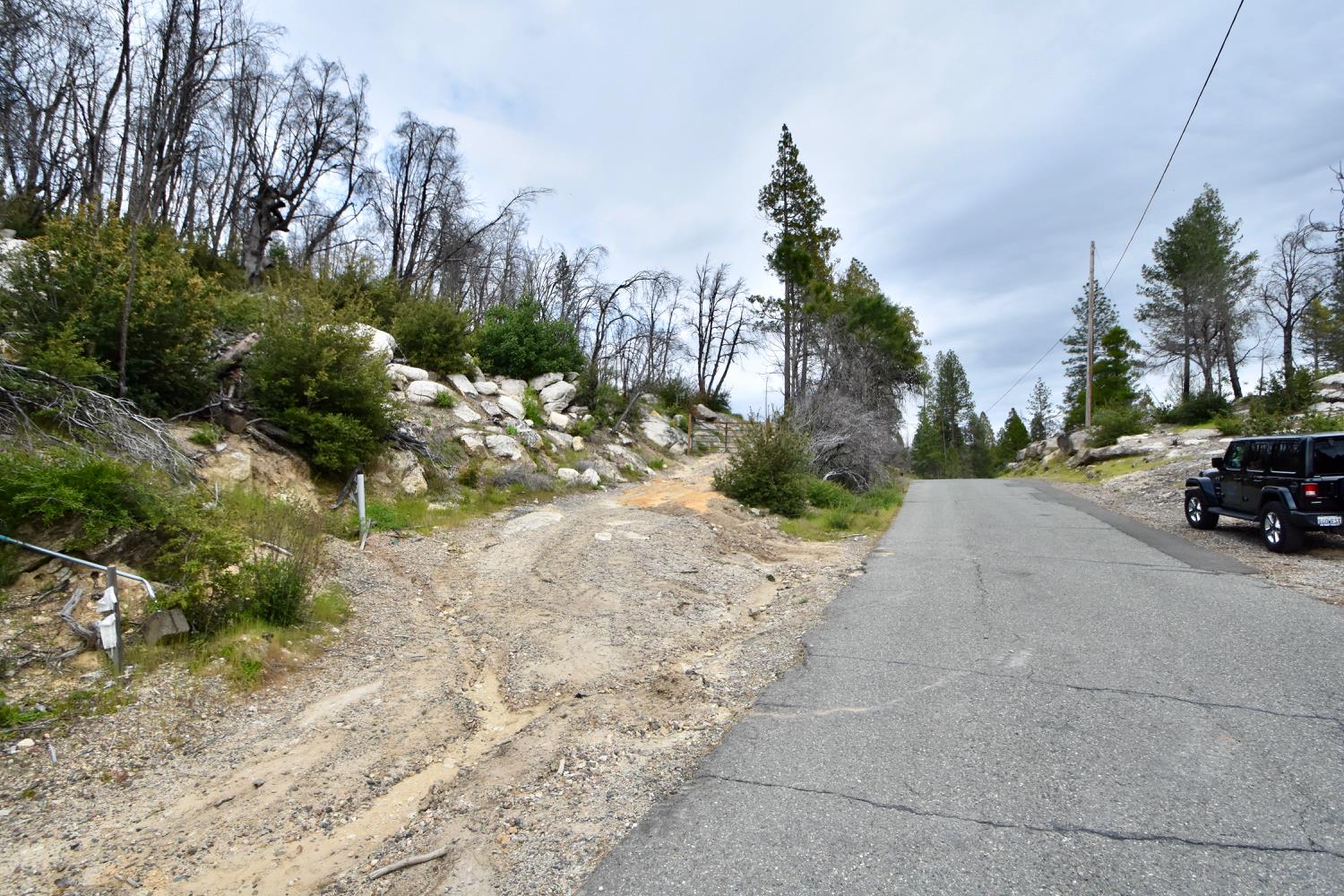 Oak Drive, Berry Creek, California image 13