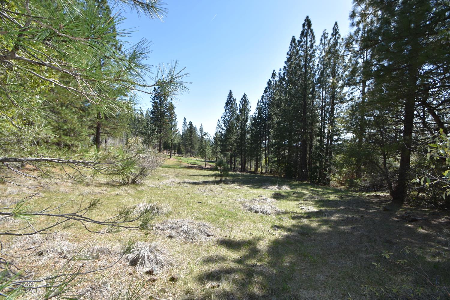 Provenza Drive, Oroville, California image 1
