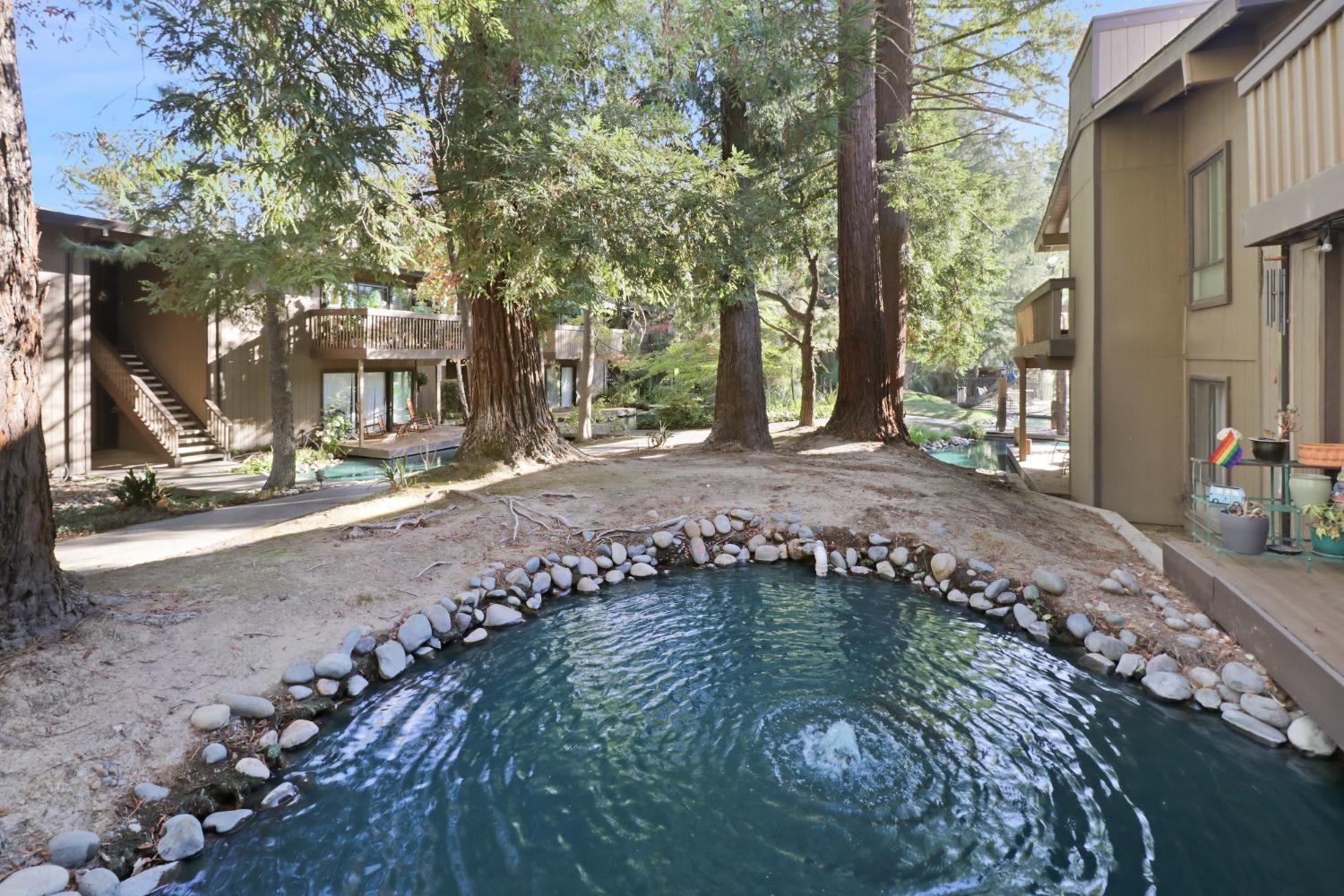 Photo #50: 225069098 Listing: Photo #50