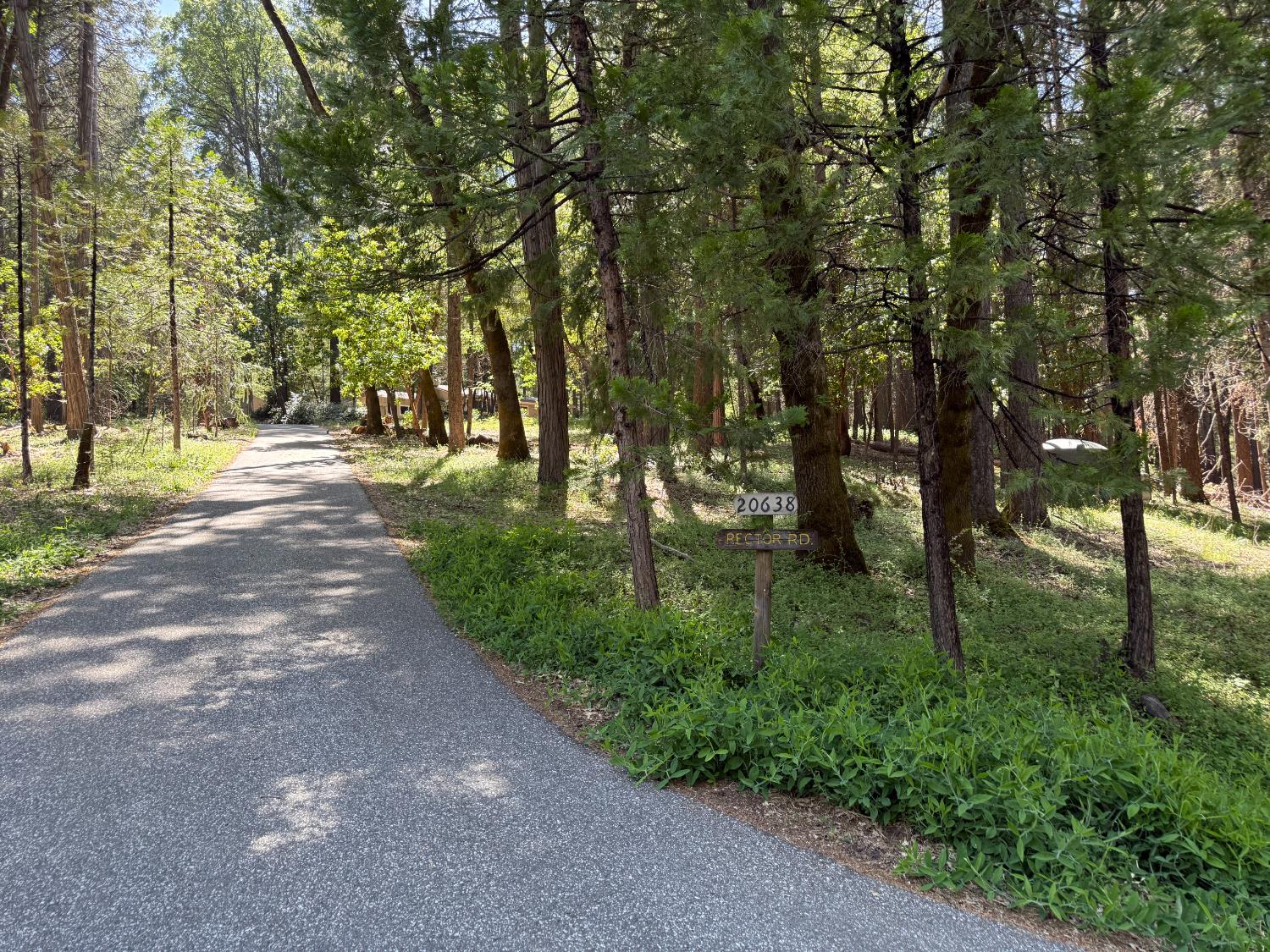 Rector Road, Nevada City, California image 3