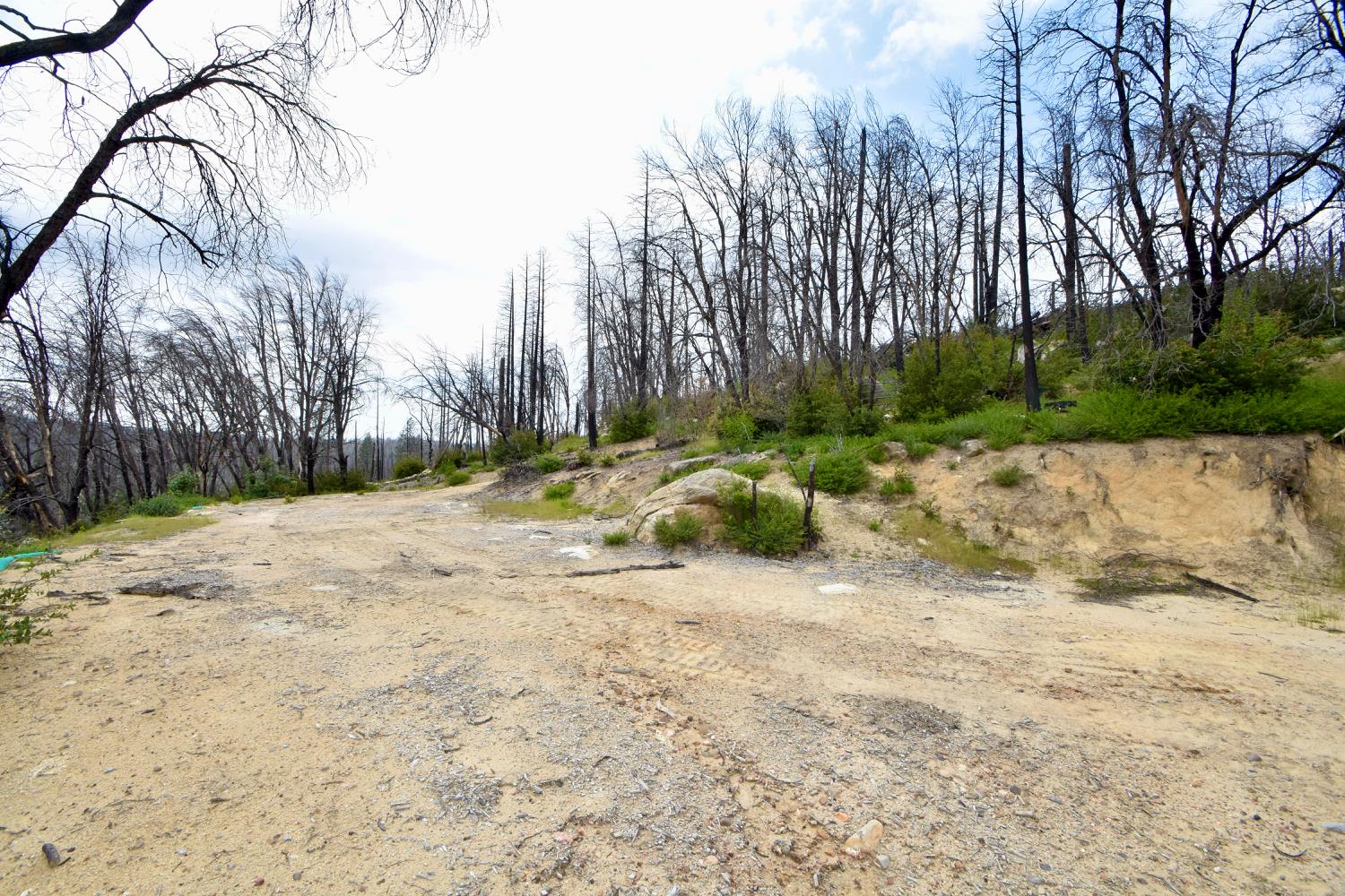 Oak Drive, Berry Creek, California image 18
