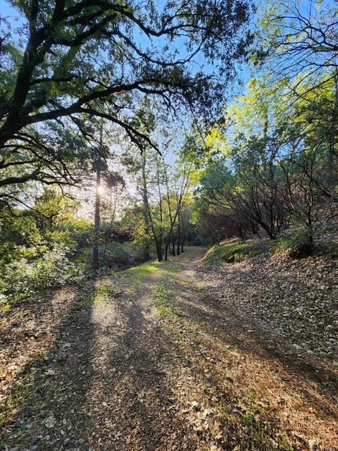 Brockman Mill Road, Fiddletown, California image 20