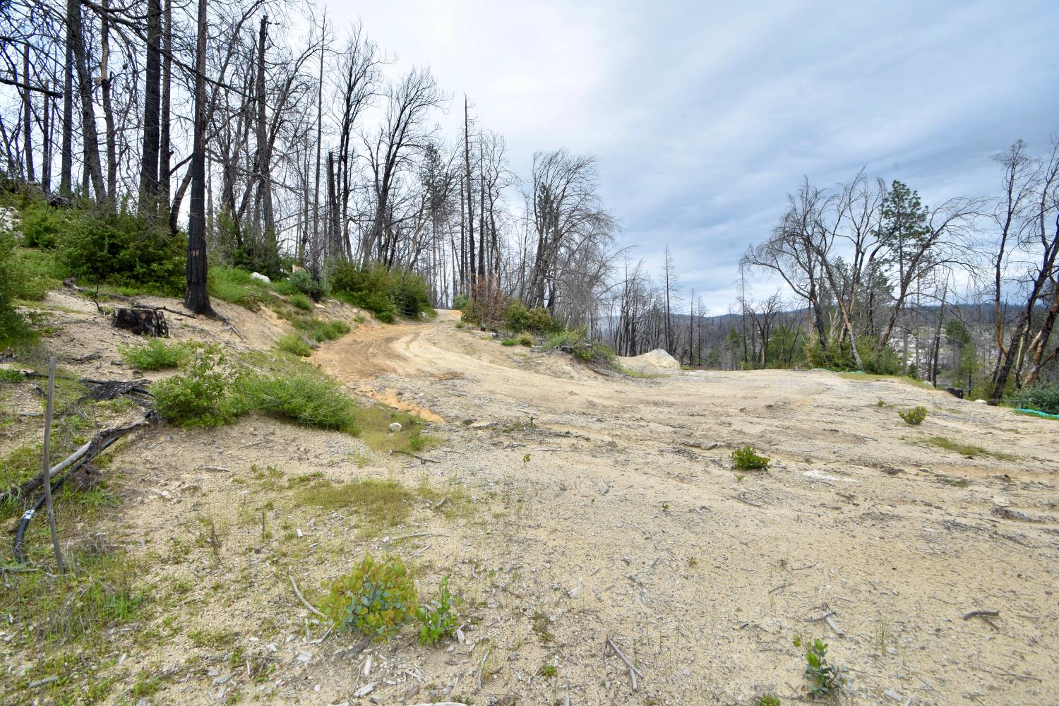 Oak Drive, Berry Creek, California image 8