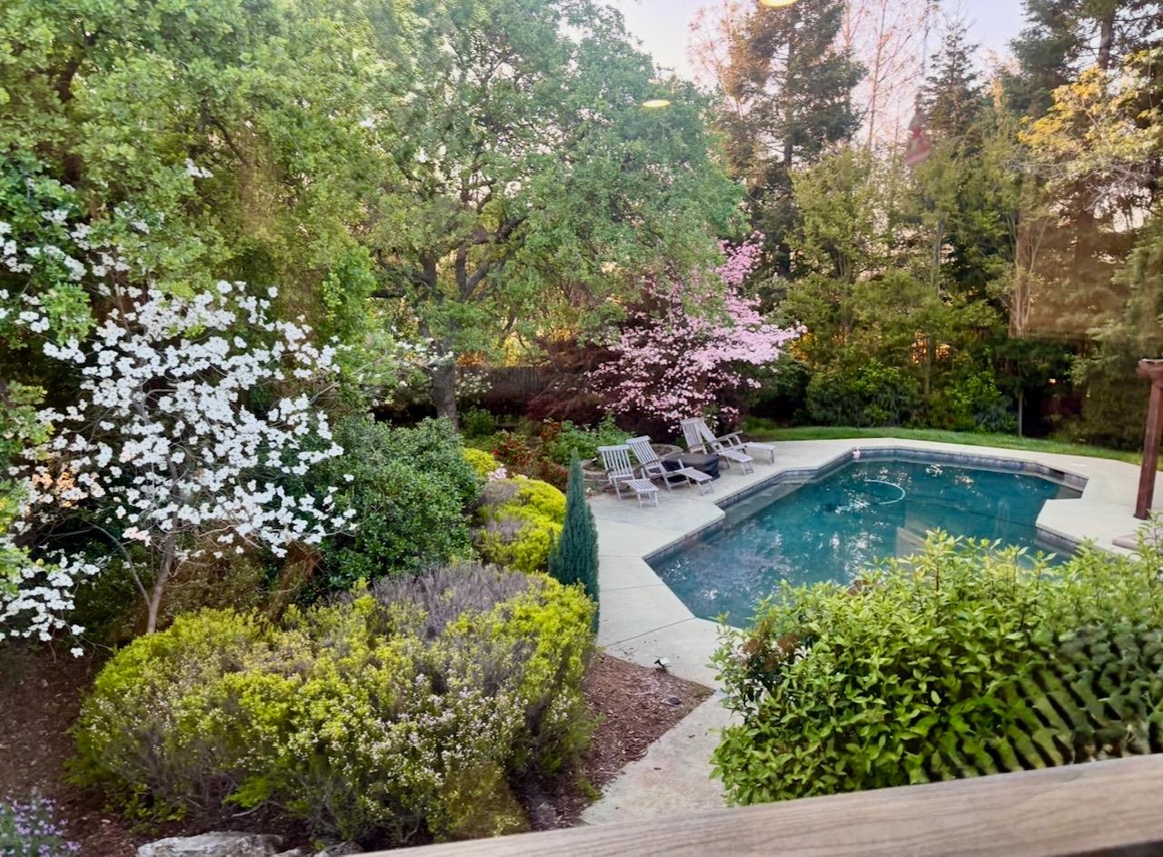 Erin Drive, Auburn, California image 1