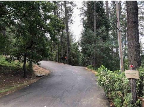 Dunvegan Drive, Applegate, California image 2