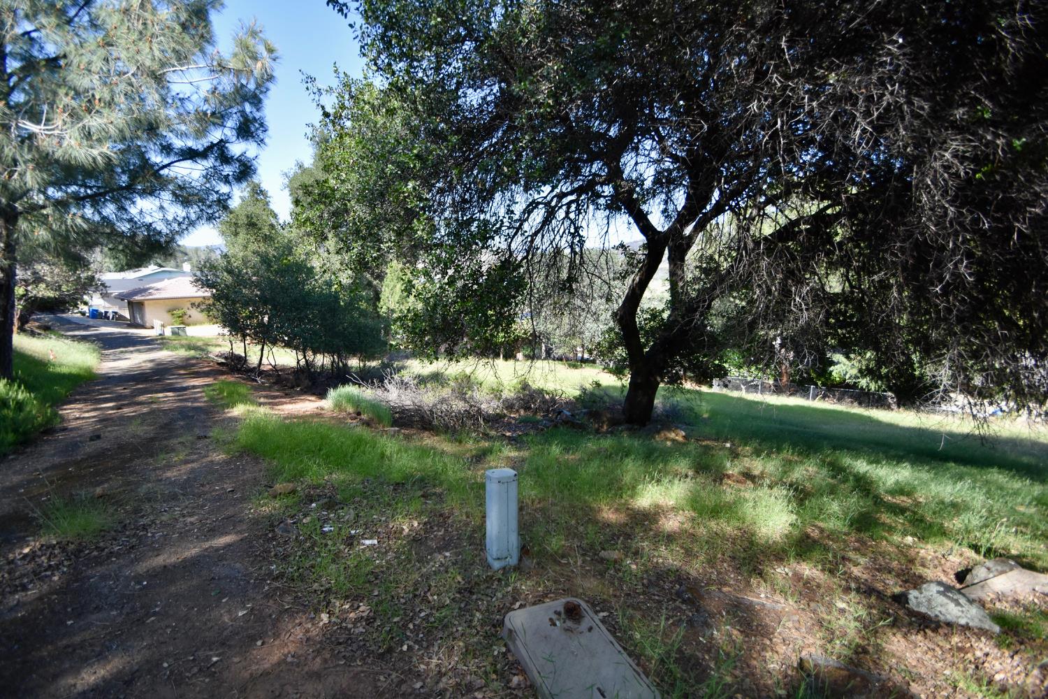 Jack Hill Drive, Oroville, California image 11
