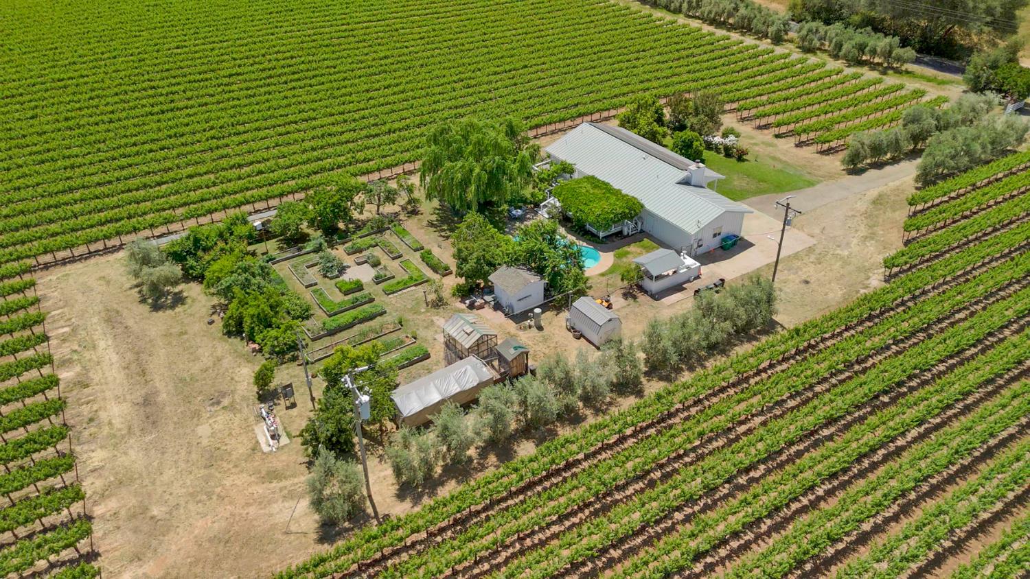 N Linn, Acampo, California image 38