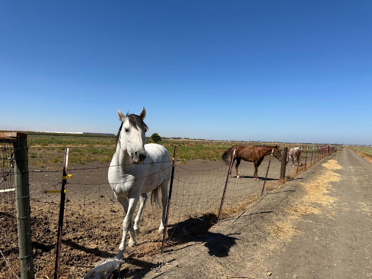 S Lammers Road, Tracy, California image 41