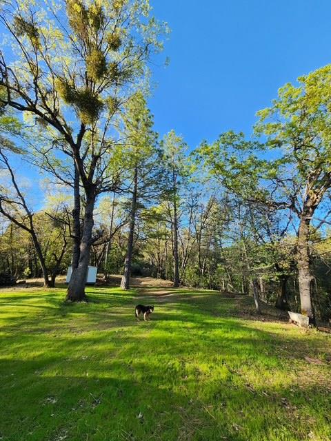 Brockman Mill Road, Fiddletown, California image 27