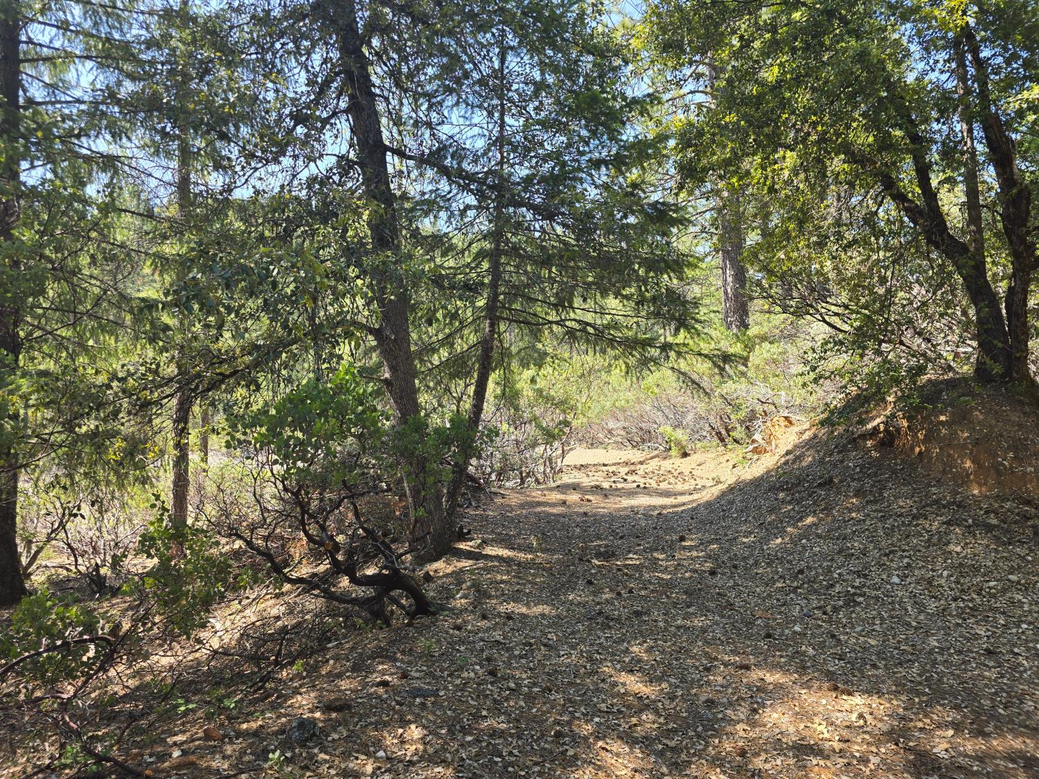 Sailor Flat Road, Nevada City, California image 7
