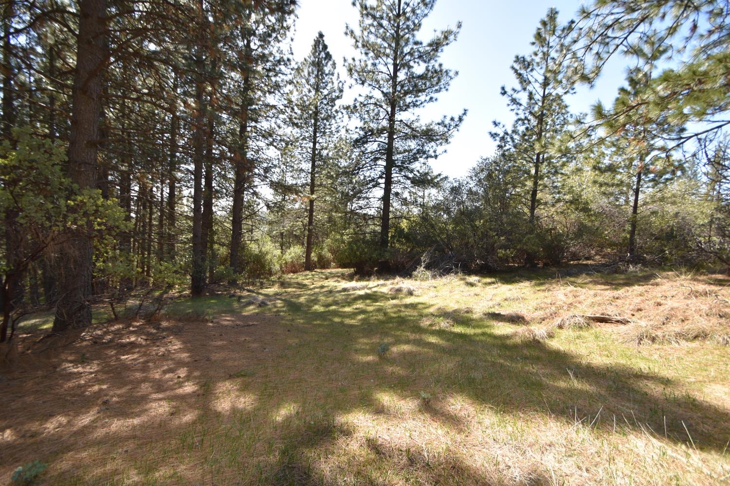 Provenza Drive, Oroville, California image 14
