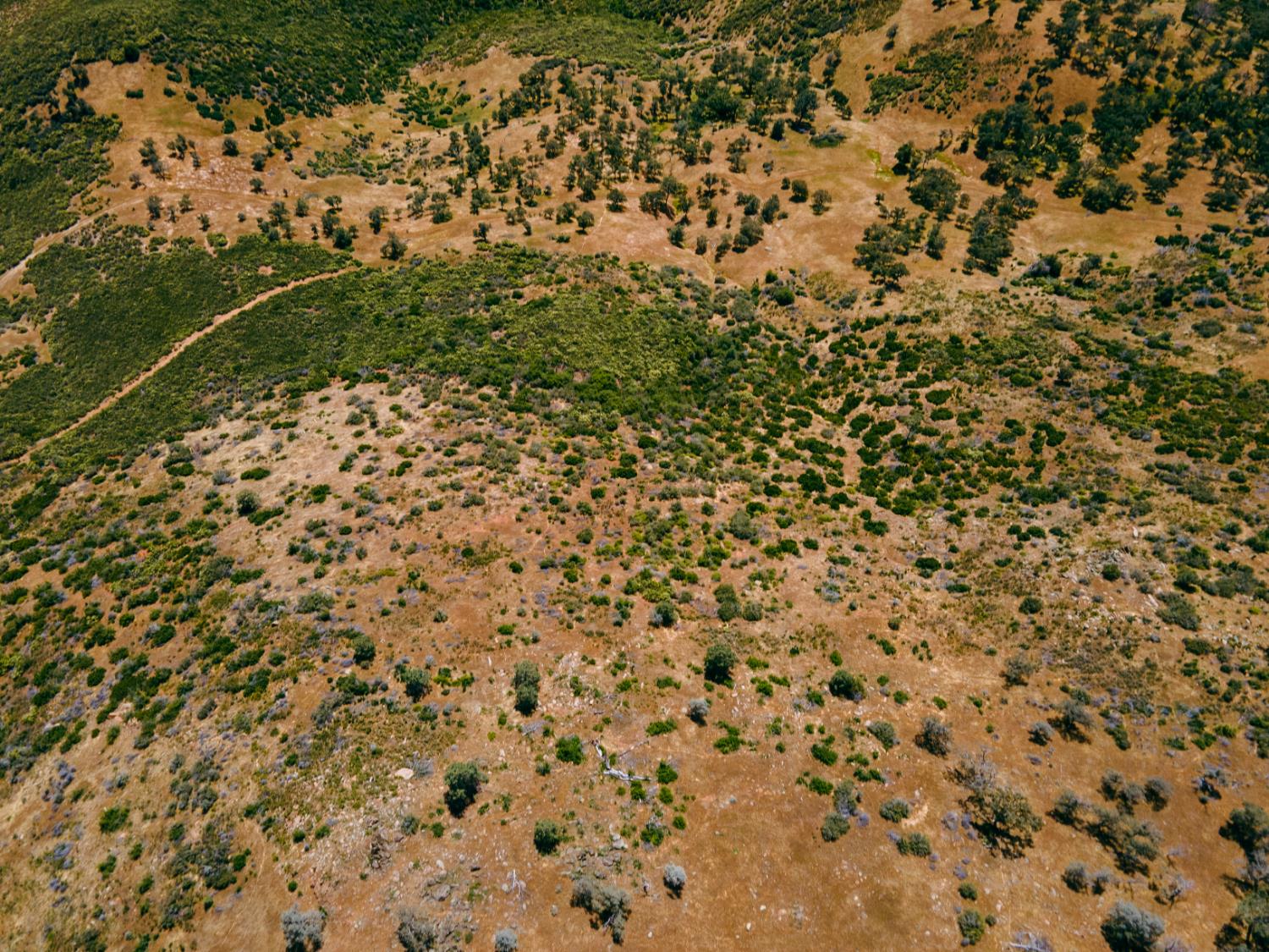 Schilling Road, Coulterville, California image 9