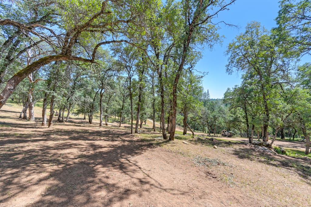 Garden Park Drive, Garden Valley, California image 11