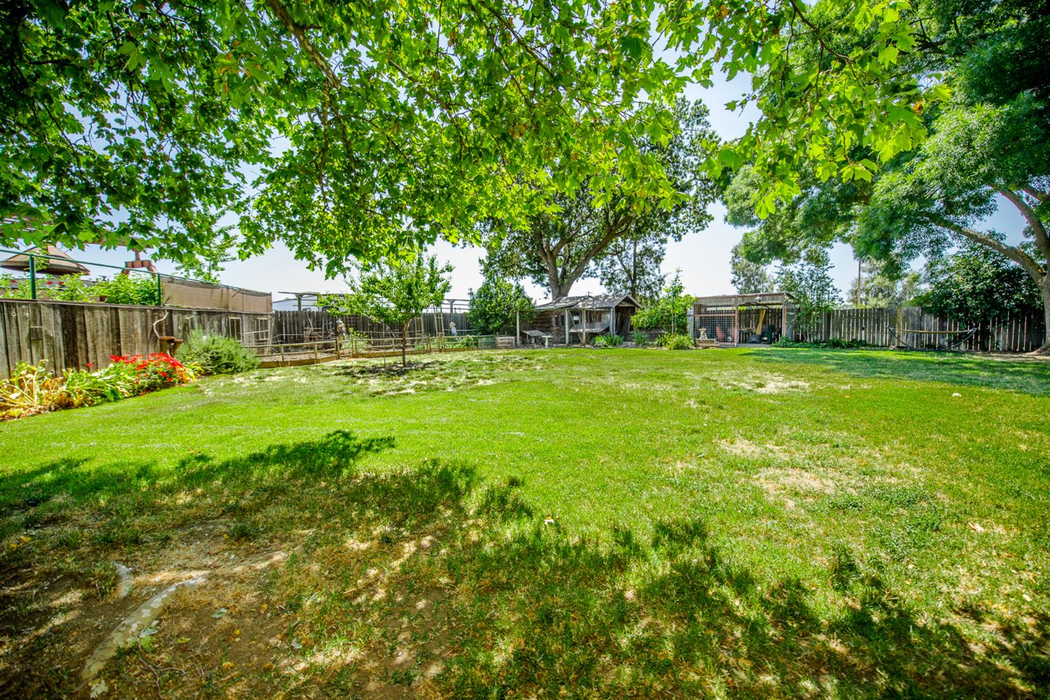 Leo Way, Woodland, California image 5