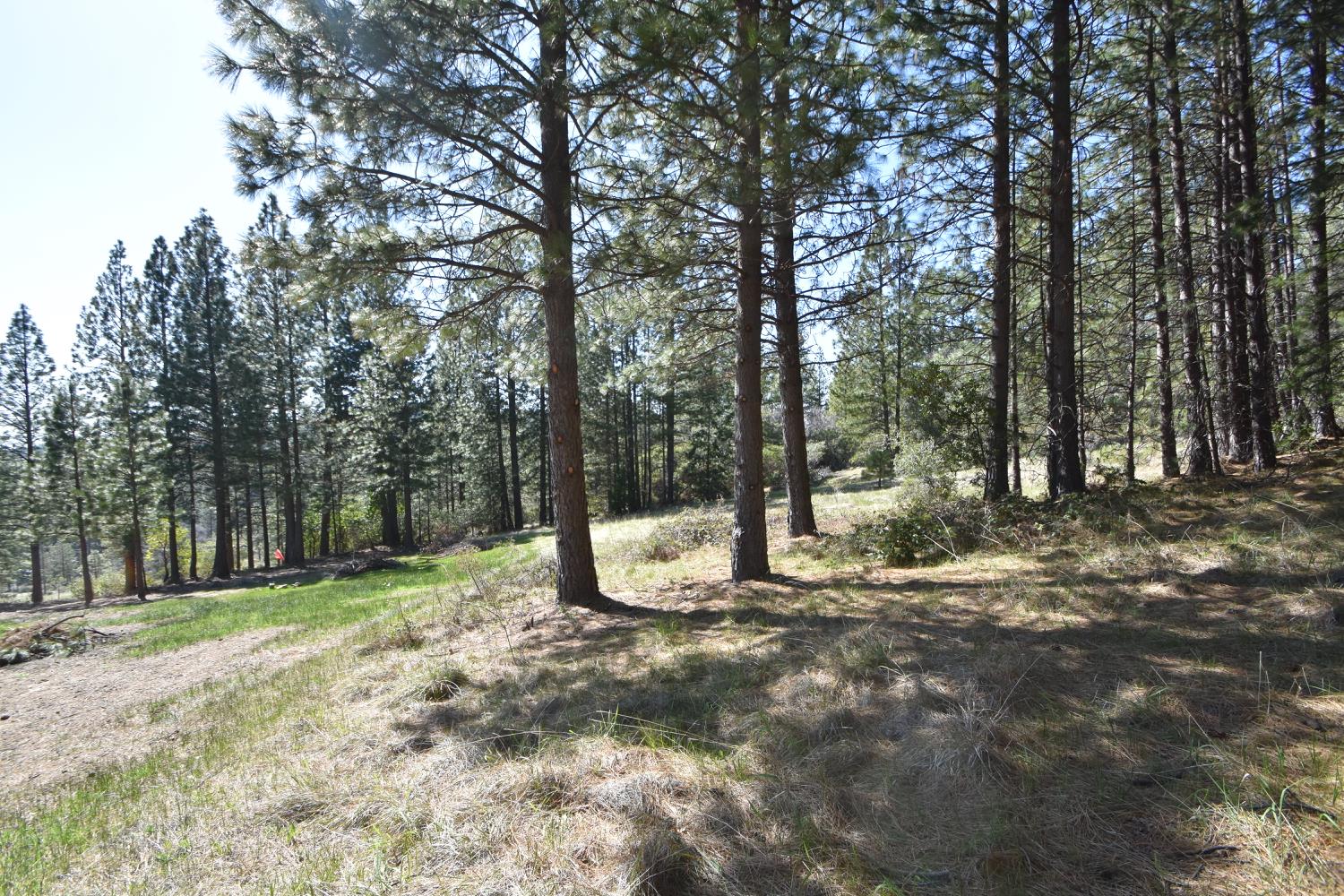 Provenza Drive, Oroville, California image 27