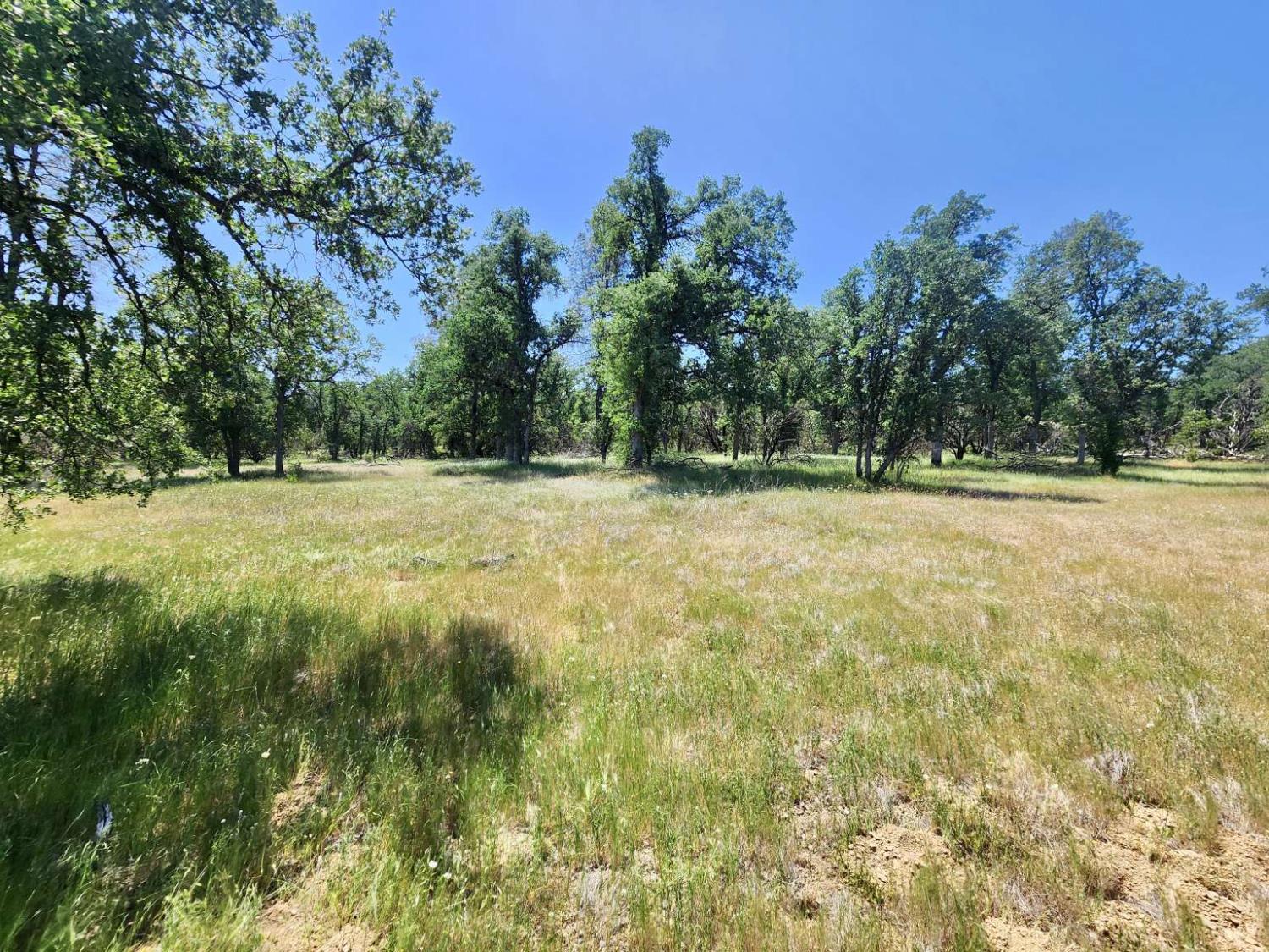 Two Feathers Road, Cottonwood, California image 19