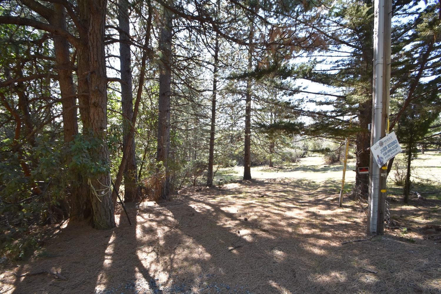 Provenza Drive, Oroville, California image 17