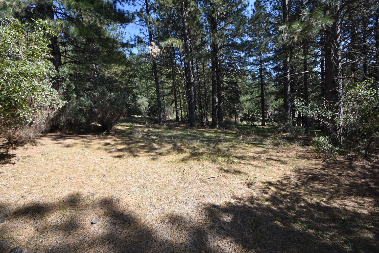 Provenza Drive, Oroville, California image 23