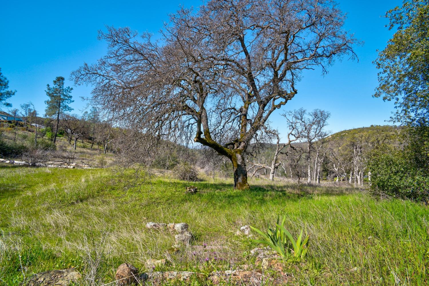 Stoney Oaks Boulevard, Oroville, California image 29