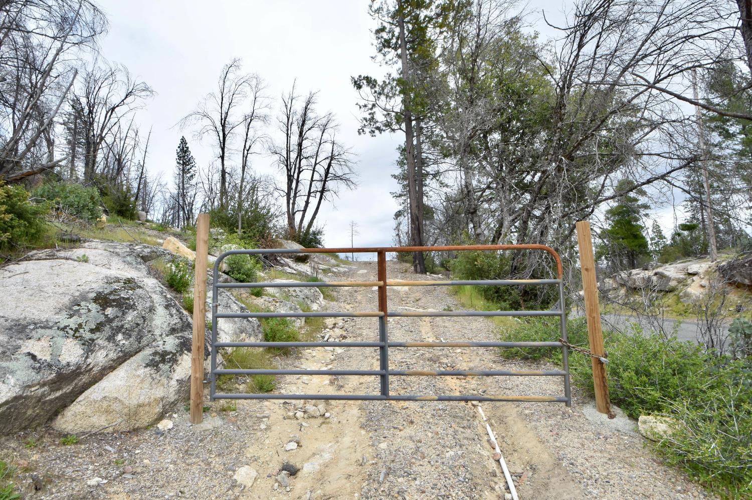 Oak Drive, Berry Creek, California image 16