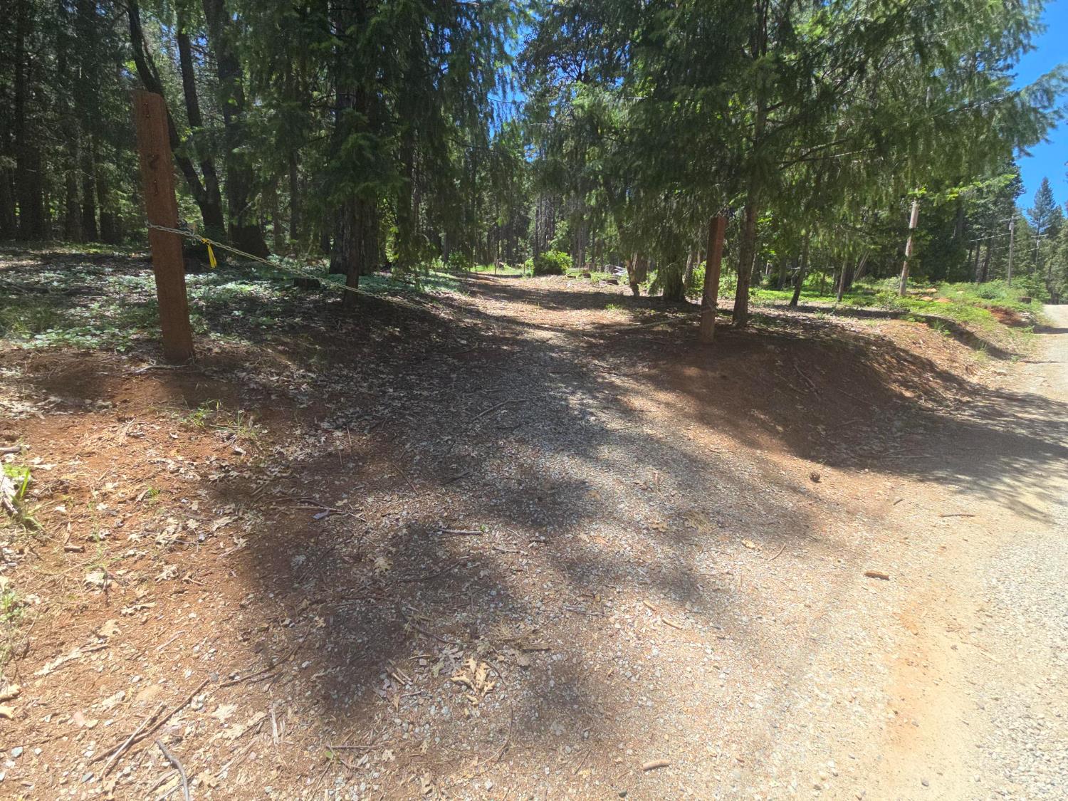 Robust Way, Nevada City, California image 5