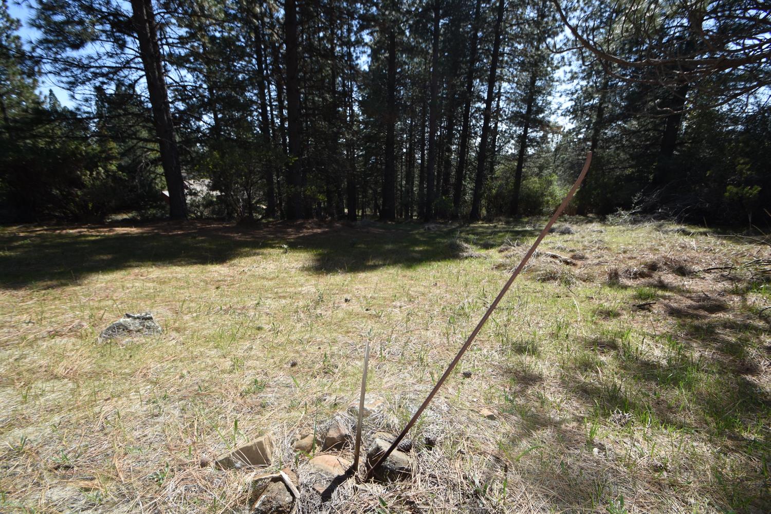 Provenza Drive, Oroville, California image 20