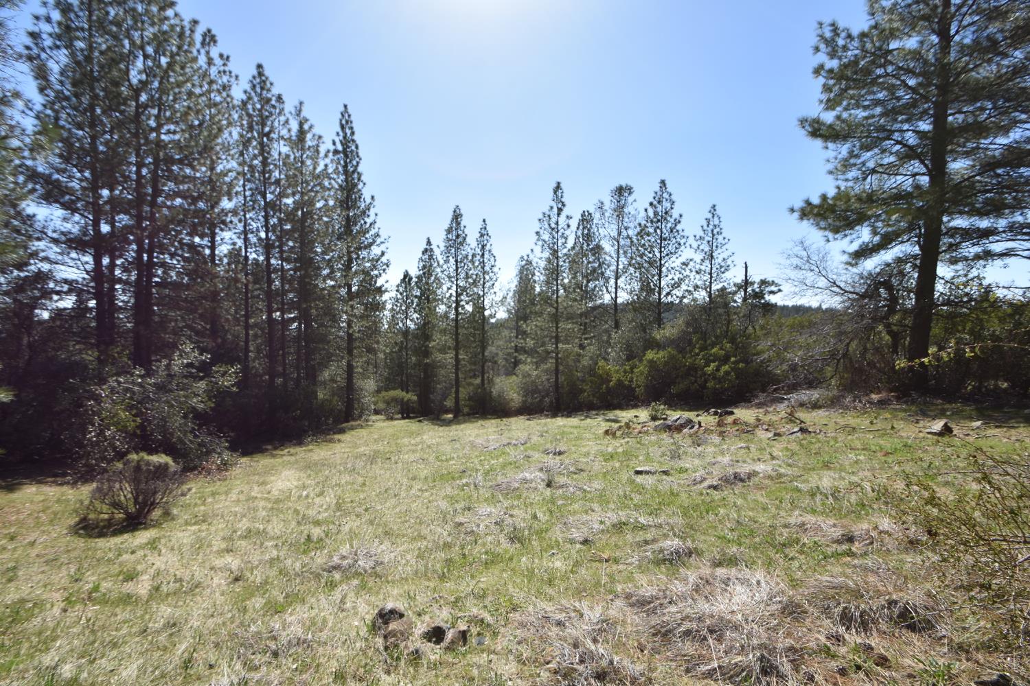 Provenza Drive, Oroville, California image 24