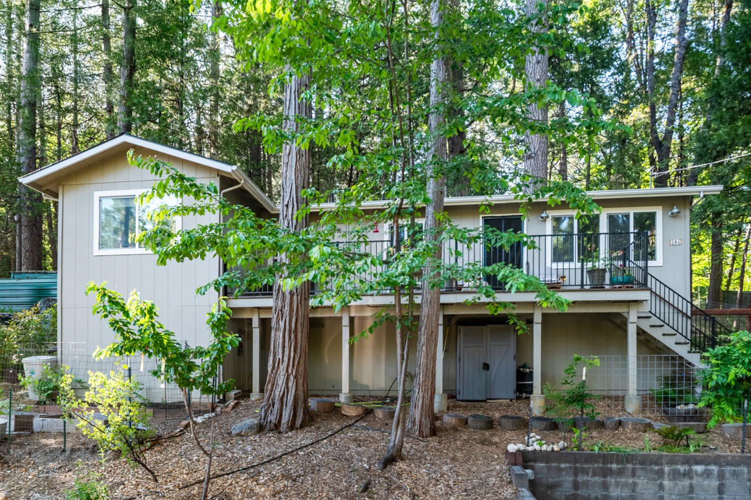 Grove Street, Nevada City, California image 30