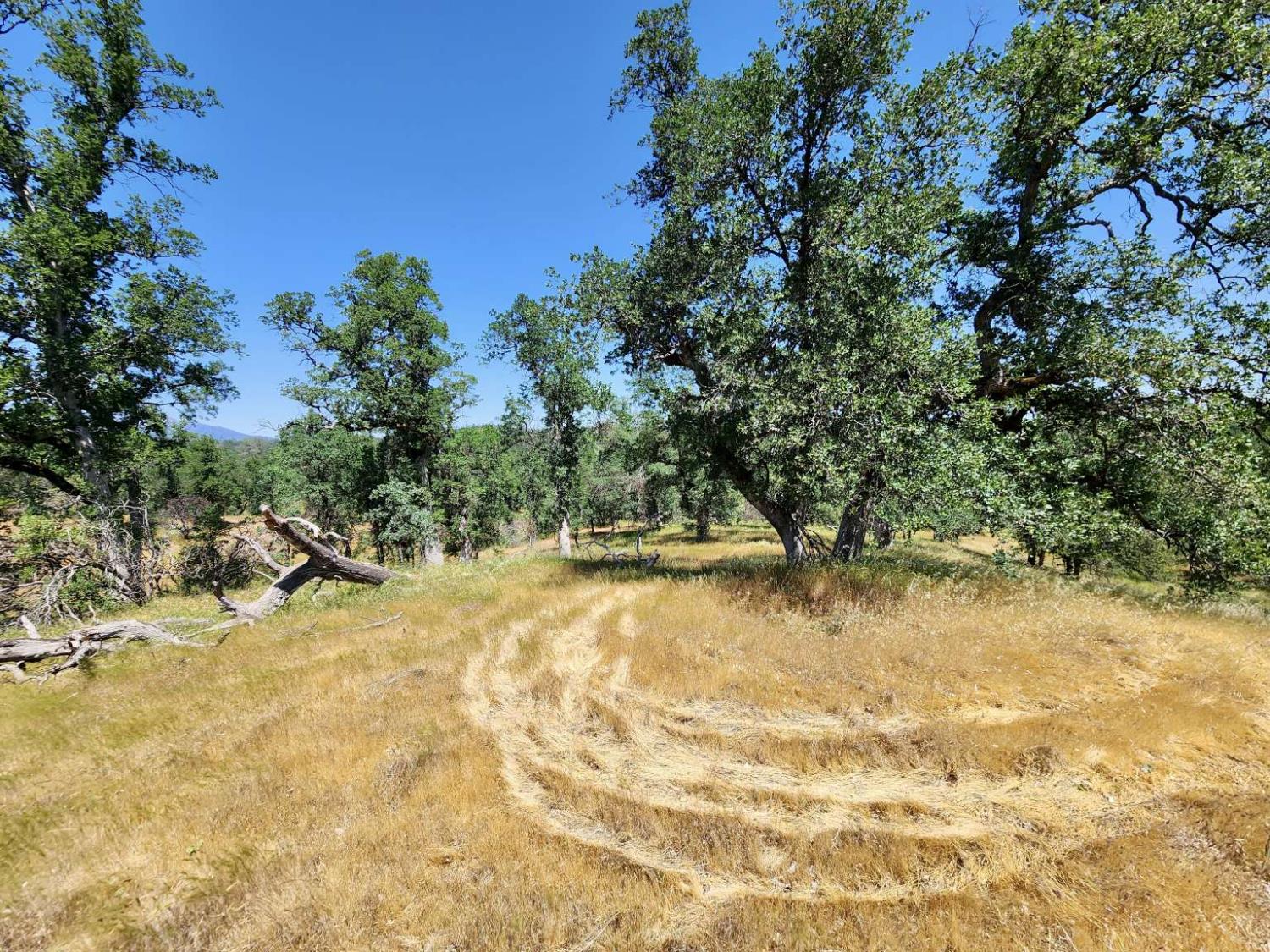 Two Feathers Road, Cottonwood, California image 14