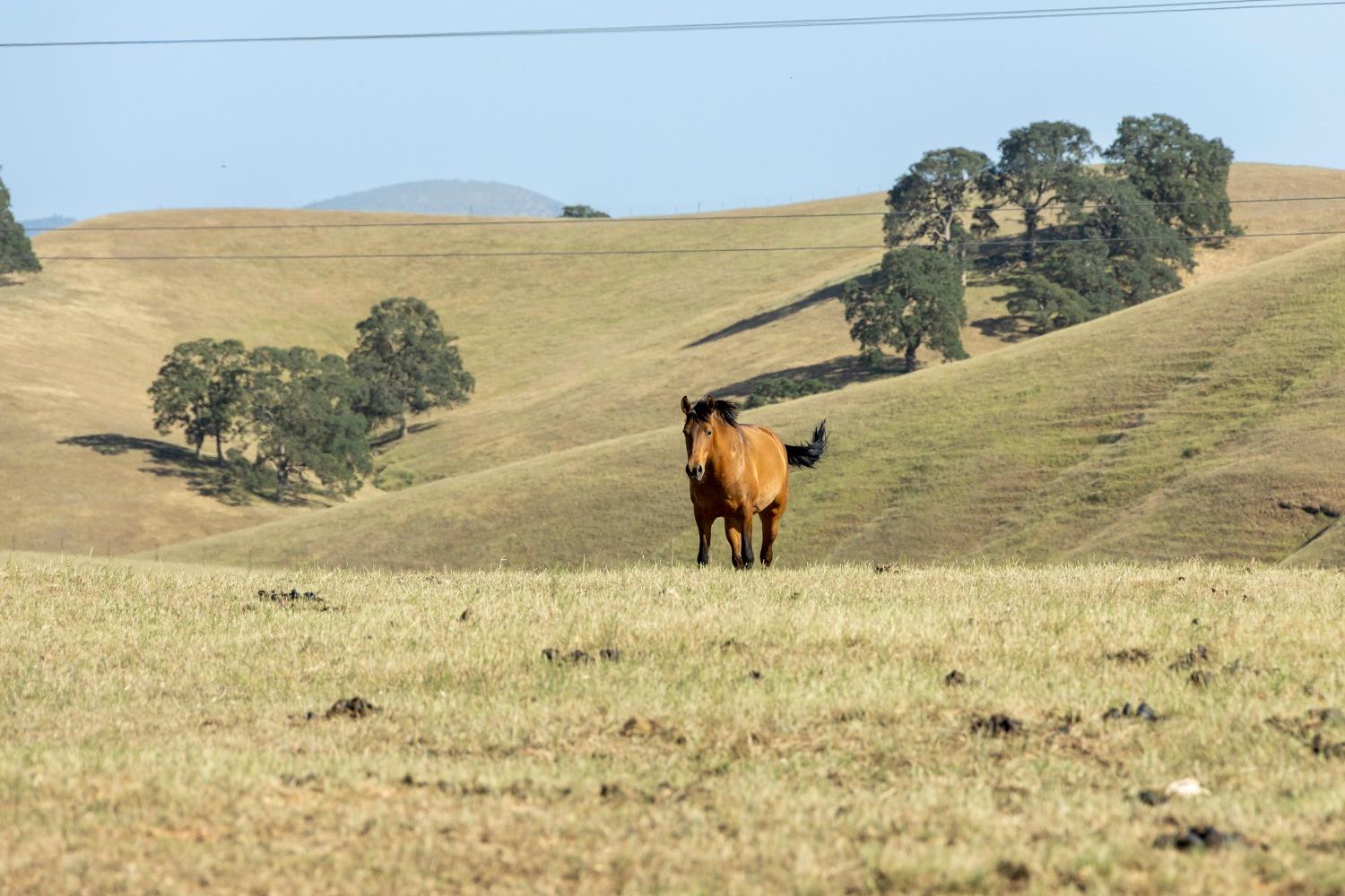 S Gulch Road, Valley Springs, California image 25