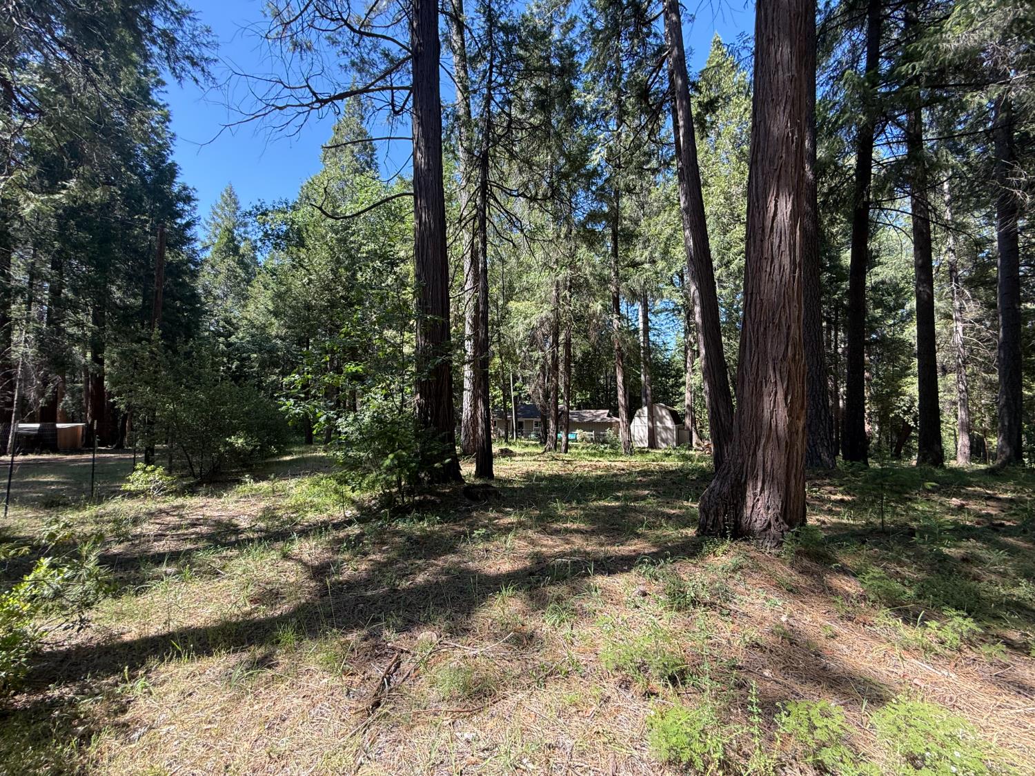Rector Road, Nevada City, California image 32