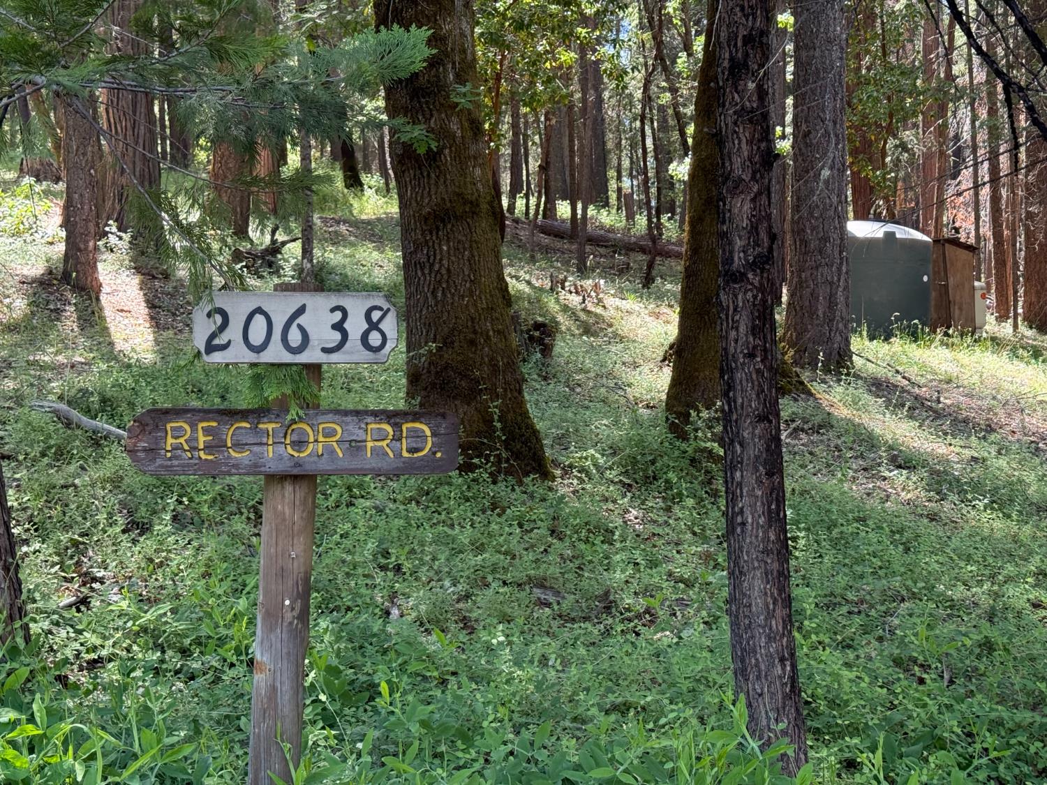 Rector Road, Nevada City, California image 40