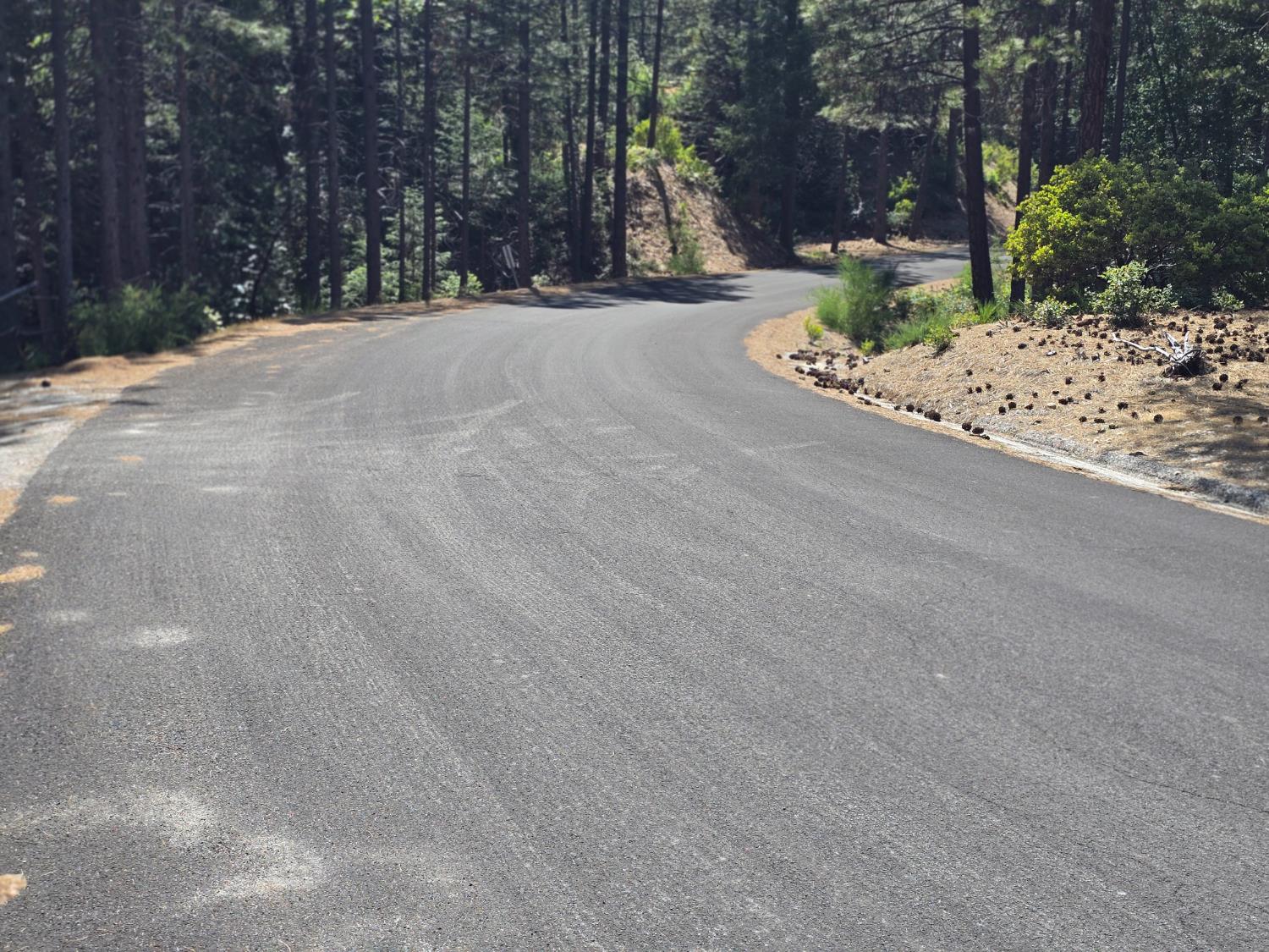 Sailor Flat Road, Nevada City, California image 10