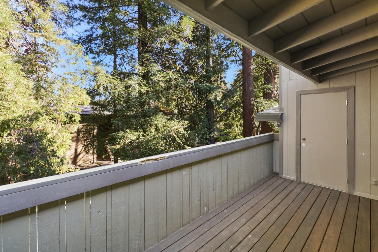 Photo #14: 225069098 Listing: Photo #14