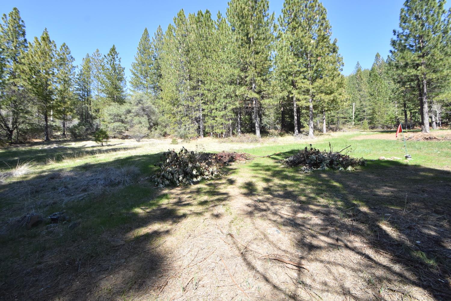 Provenza Drive, Oroville, California image 31