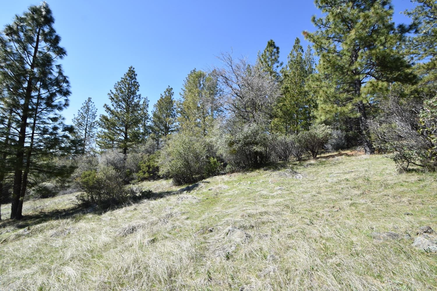 Provenza Drive, Oroville, California image 41