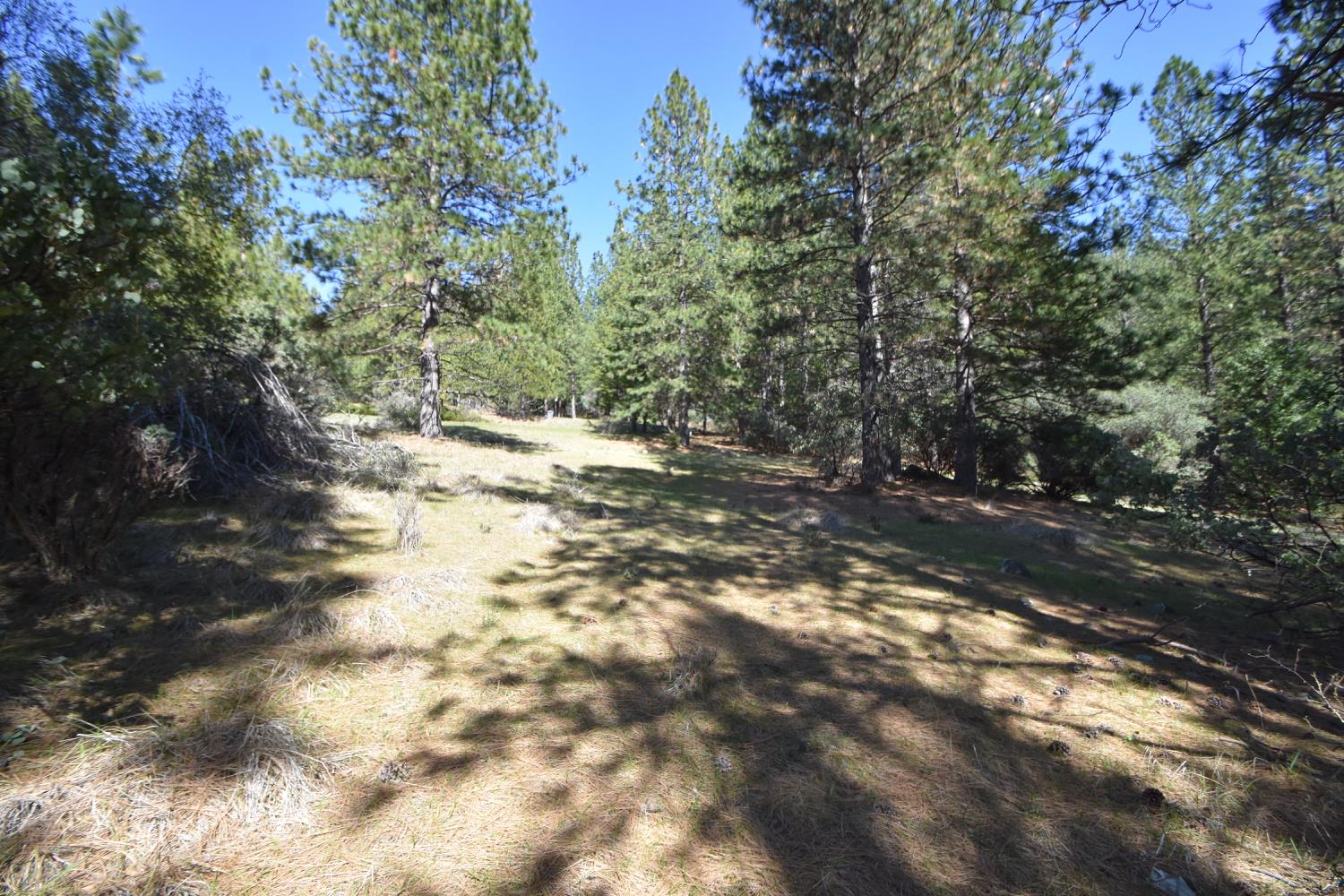 Provenza Drive, Oroville, California image 22