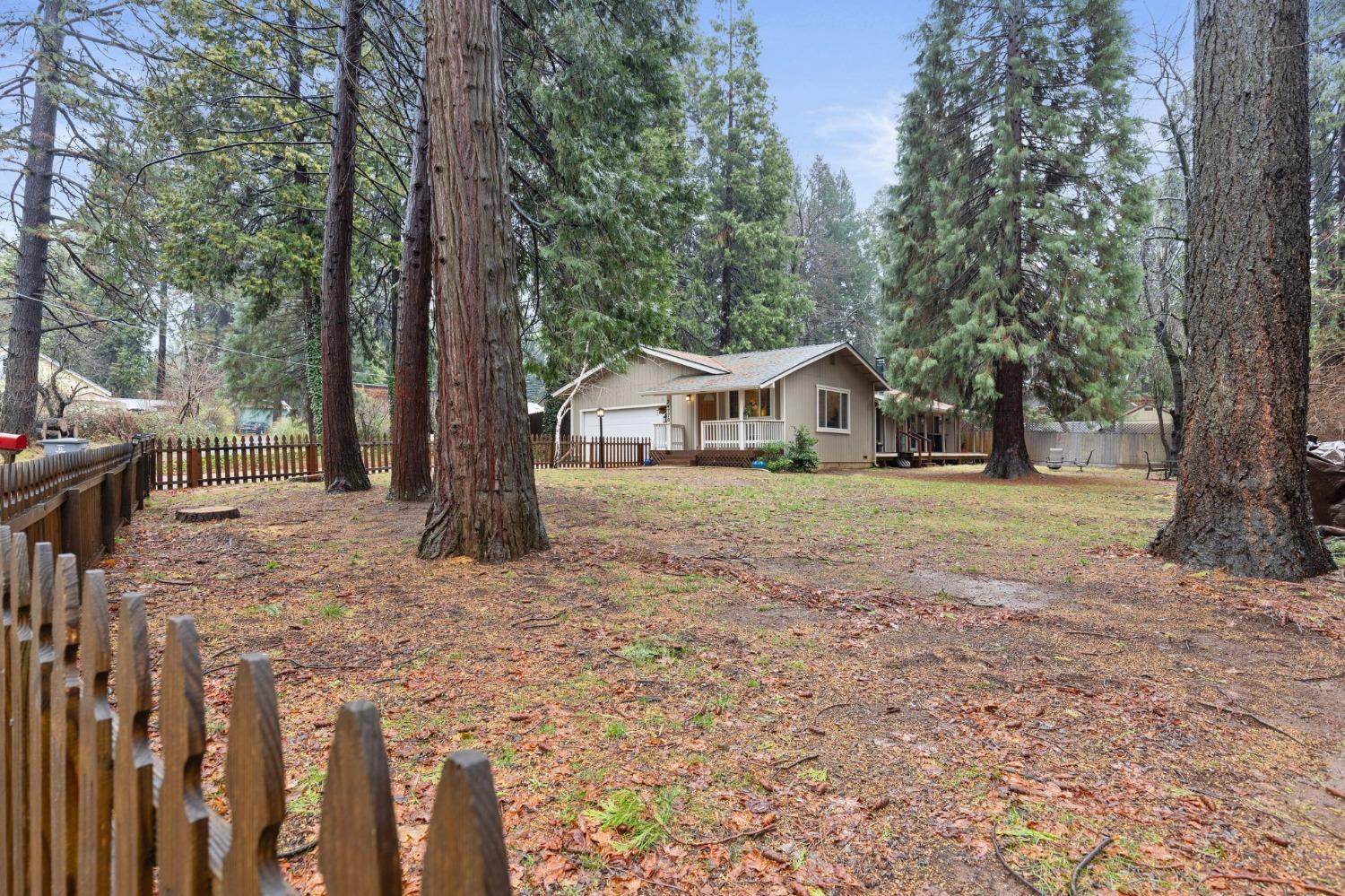 Harrison Street, Foresthill, California image 7