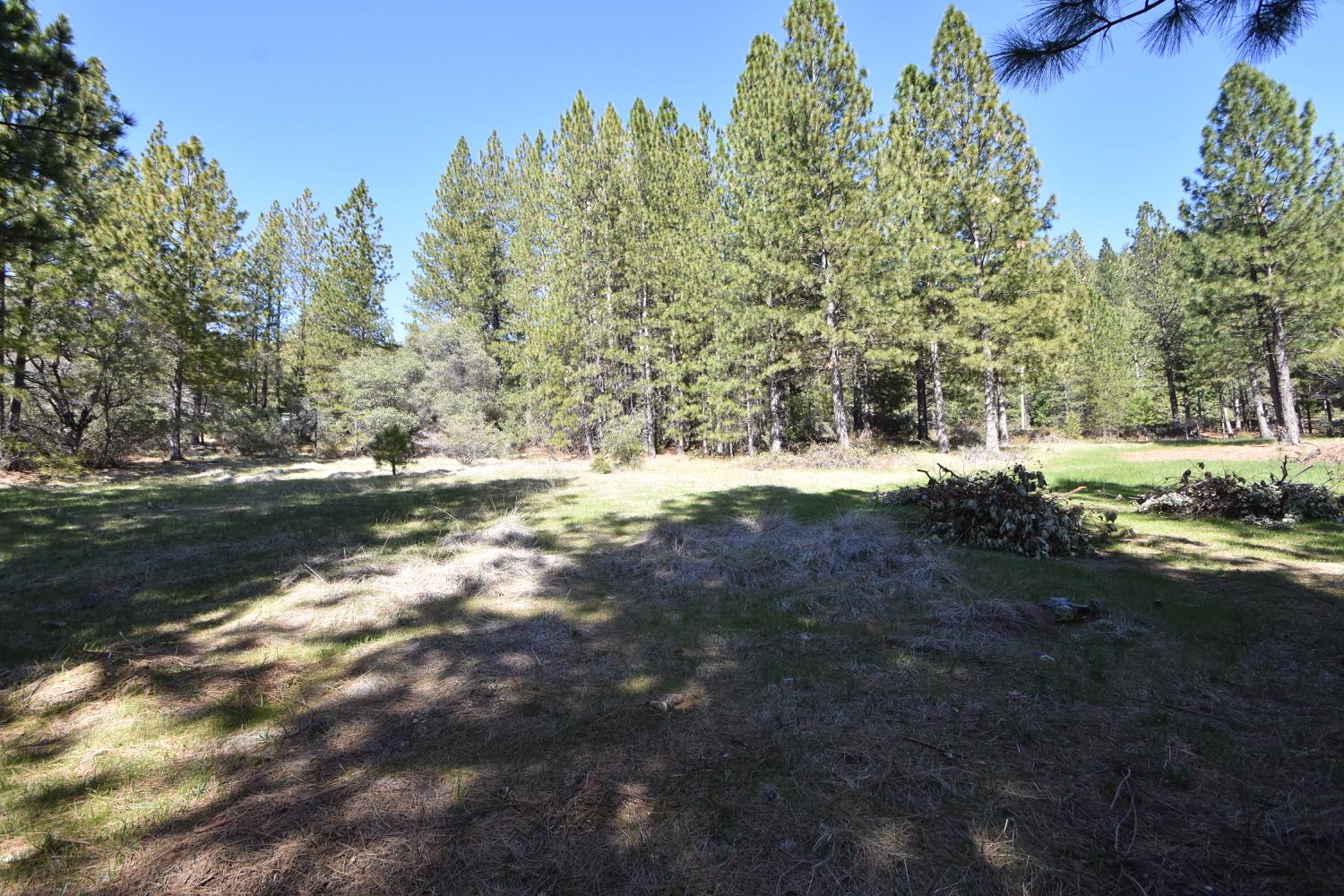 Provenza Drive, Oroville, California image 10