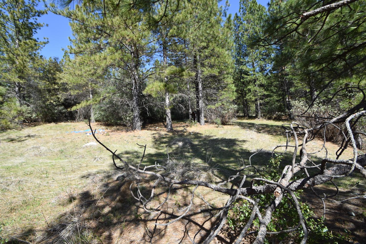 Provenza Drive, Oroville, California image 38